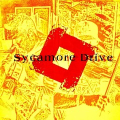 Sycamore Drive SA