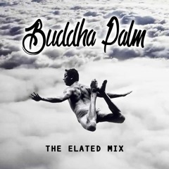 Buddha Palm Productions