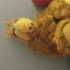 Bradford Paul Huntington