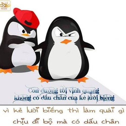 Lê Quang (higlo)’s avatar