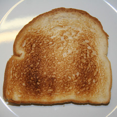 perFectLy OvEr toAst!