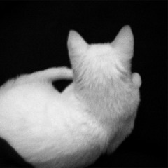 CatGod
