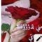amira morad