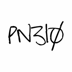 PN310