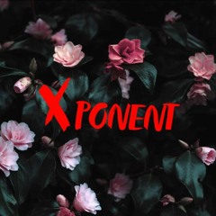 Xponent