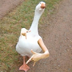 Eggzy