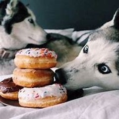 Donut and Productions