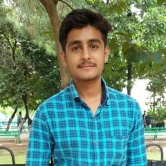 Amninder mander