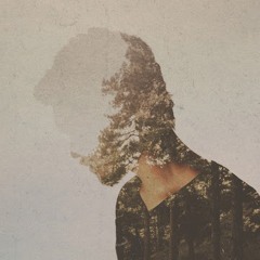 andy g