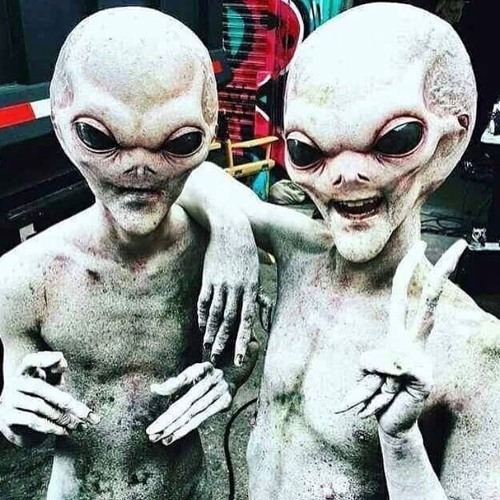 highly connected  🌌👽’s avatar