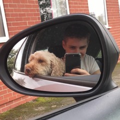 bailey :)
