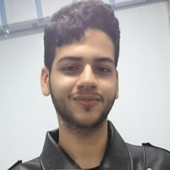 ziad elsayed