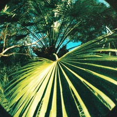 soundtra