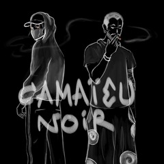 Camaïeu Noir