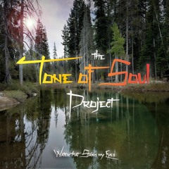 Tone of Soul Project