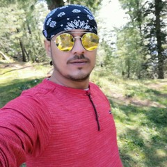 sidd