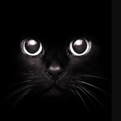 Tom Poes