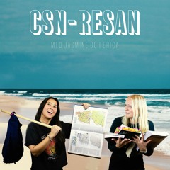CSN-resan
