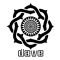 DAVE
