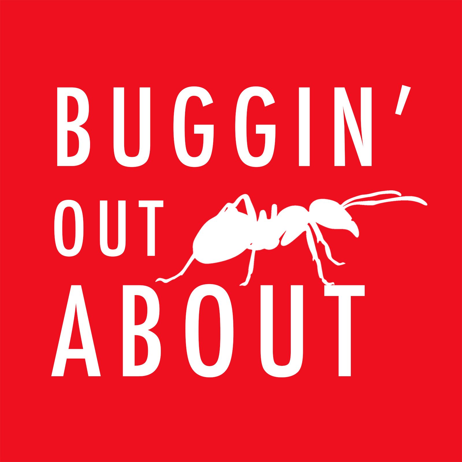 Buggin' Out About