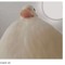 One And Half Ducky