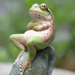 Paul