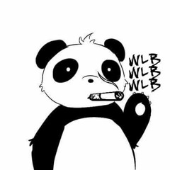 🪐️WEELAAB🪐️