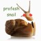 cailthesnail