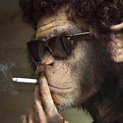 Jayel Peralta Medina