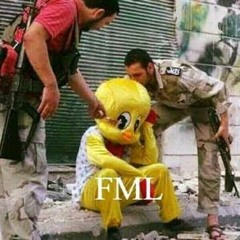 Nour D Fathy