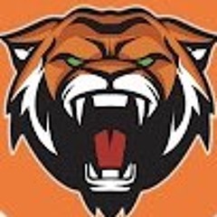 Tigerzz_