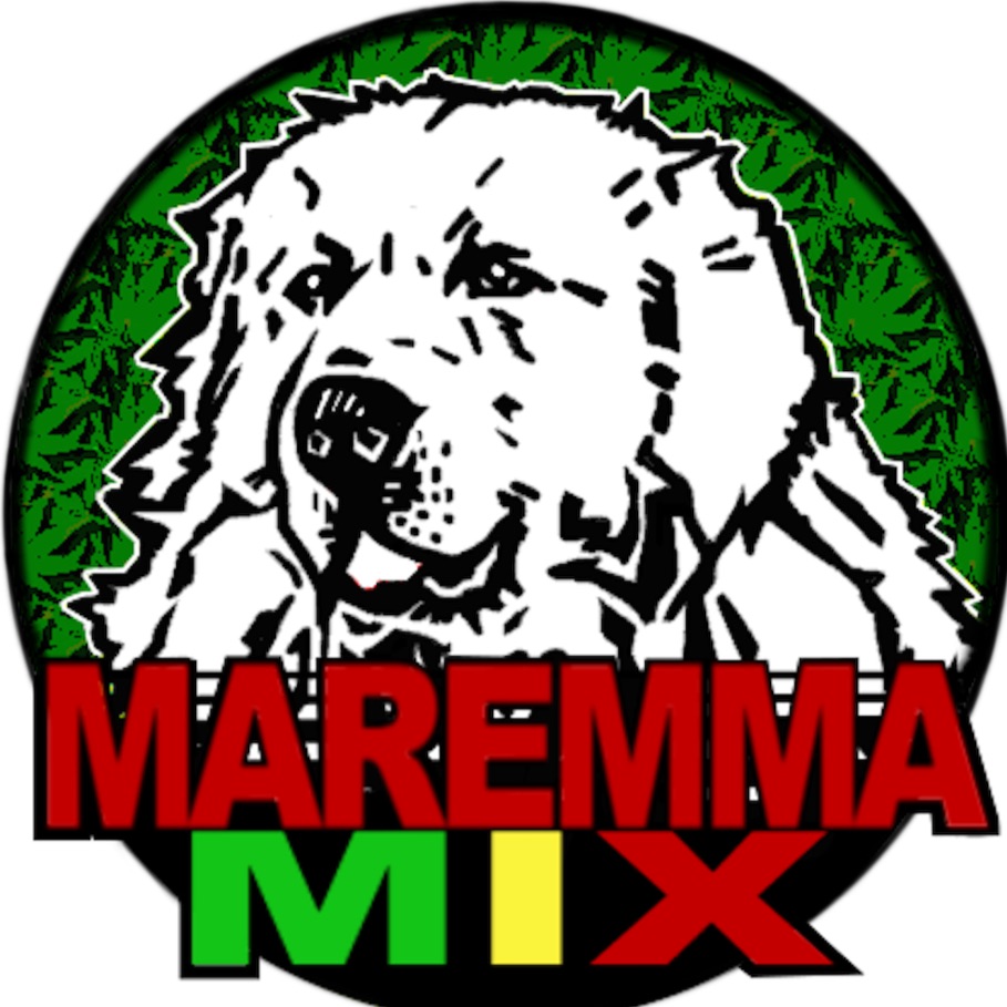Dj Bega (MaremmaMix) podcast artwork