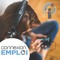 🇫🇷 🇩🇪  Connexion Emploi