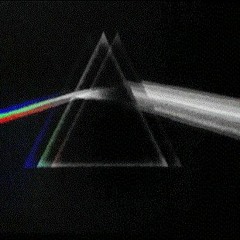 funkymunkyy