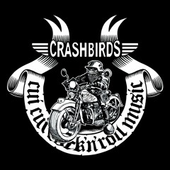 CRASHBIRDS