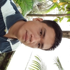 Byllam