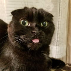 Penny (rockymtnpenny)