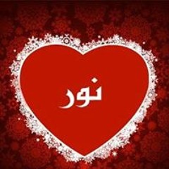نور الربيع