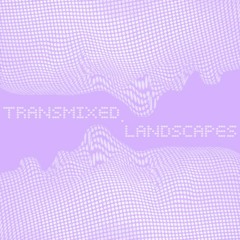 TRANSMIXED.LANDSCAPES
