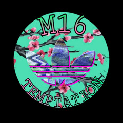 M16 Temptation