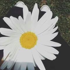 nour sameh