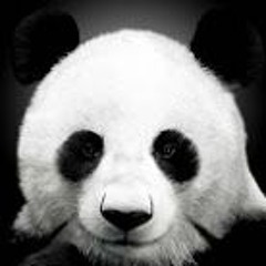 ThePandaPunch