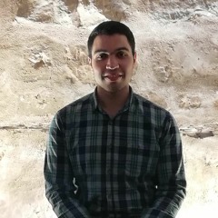 Mahdy El-ghanam