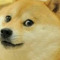 wadukek