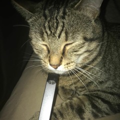 Eli