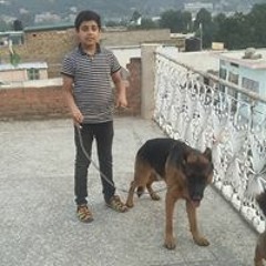 raja kamran