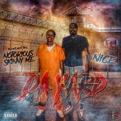 DNICE FDR