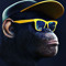 Great monkeys