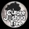 Curate Joshua Tree
