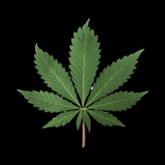 Dope Discourse Podcast